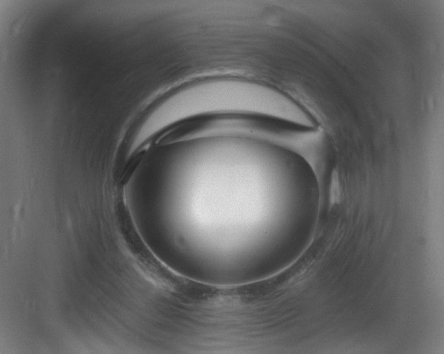 X0000083070252200702091538
