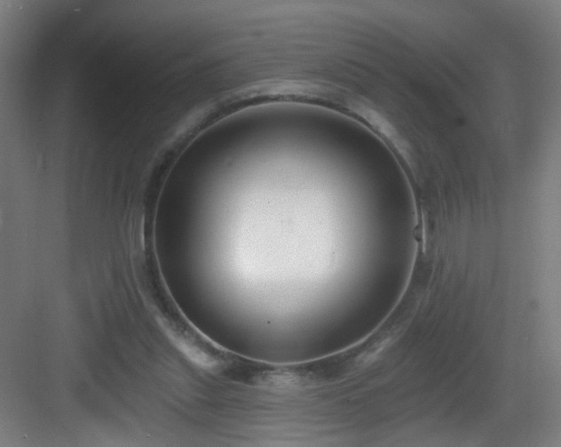 X0000083070253200702091538