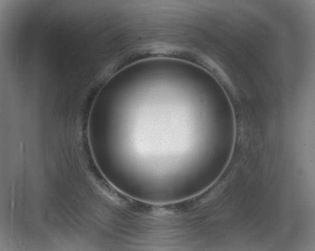 X0000083070257200702091538