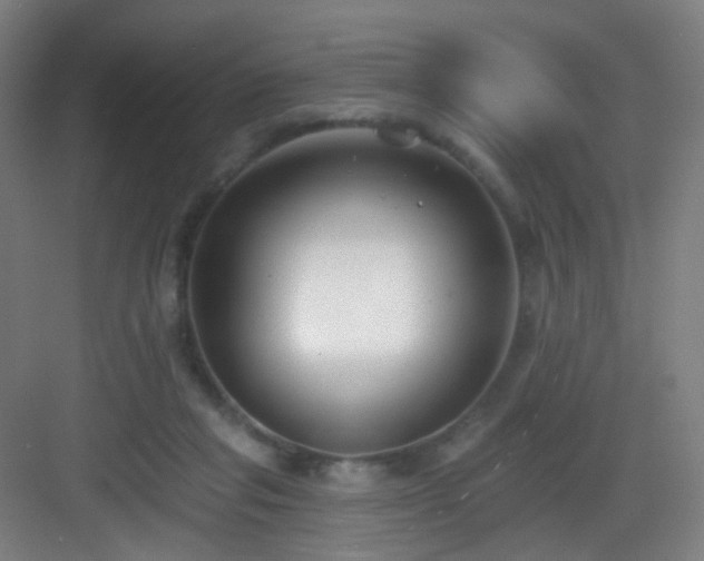 X0000083070261200702091538