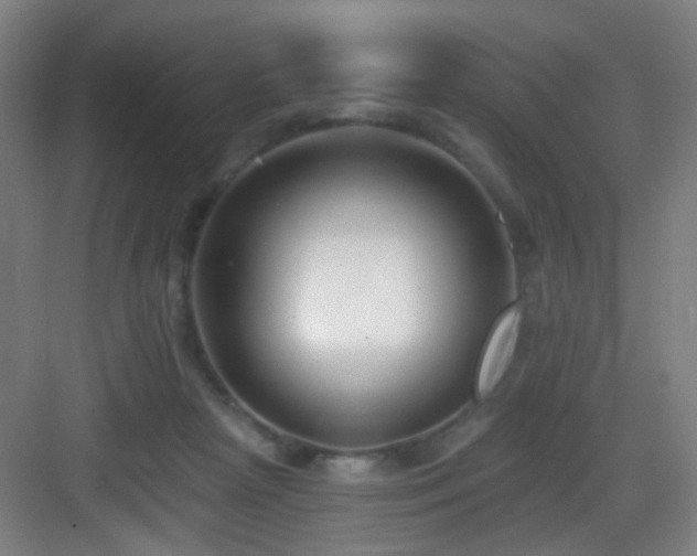 X0000083070265200702091538