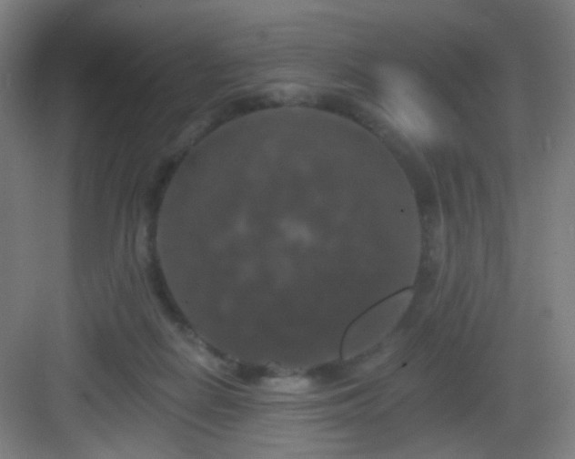 X0000083070266200702091538