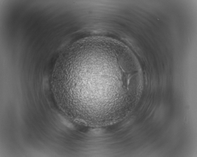 X0000083070269200702091538