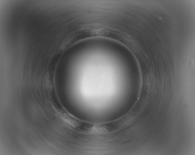 X0000083070270200702091538