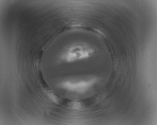X0000083070276200702091538