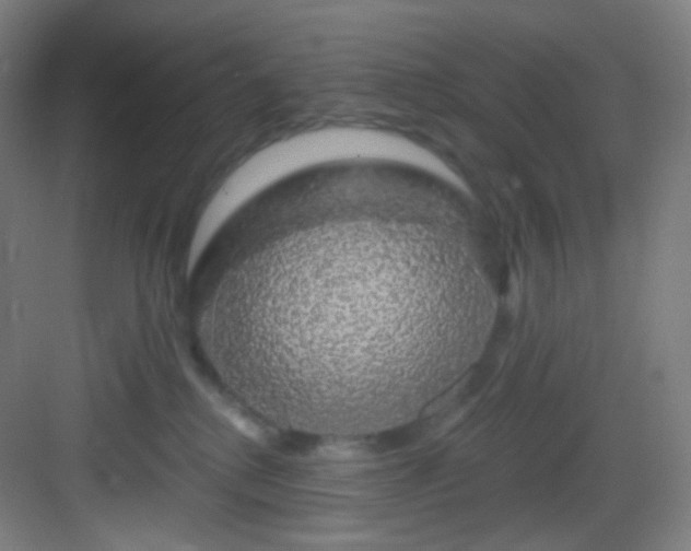 X0000083070280200702091538