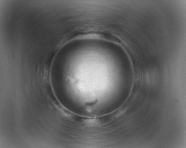 X0000083070281200702091538