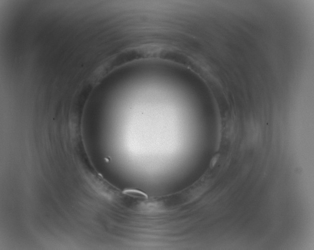 X0000083070283200702091538