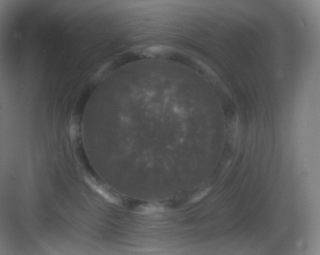 X0000083070284200702091538