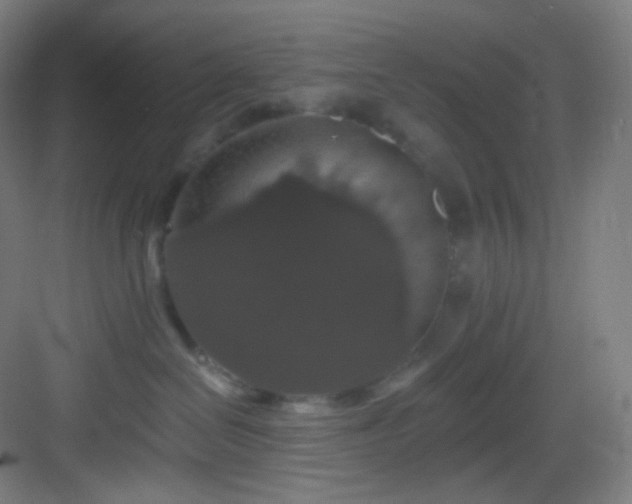 X0000083070286200702091538