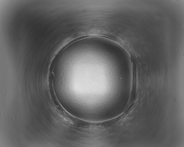 X0000083070292200702091537