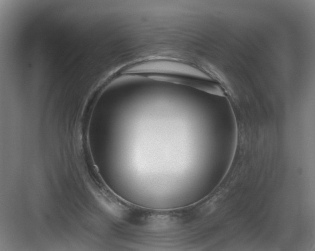 X0000083070298200702091537