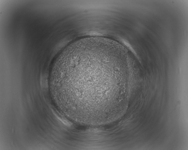 X0000083070299200702091537