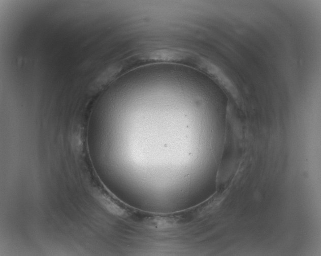 X0000083070305200702091537
