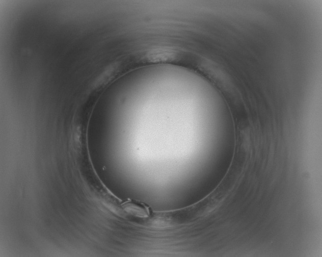 X0000083070308200702091537