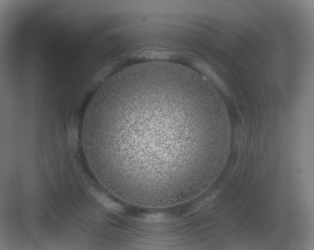 X0000083070309200702091537