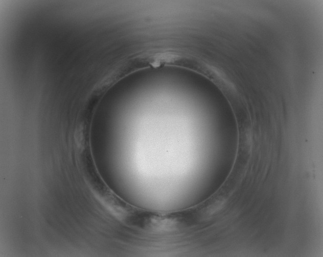 X0000083070311200702091537