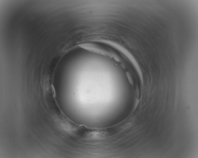 X0000083070323200702091537