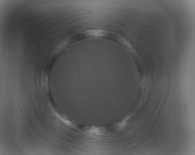 X0000083070330200702091537