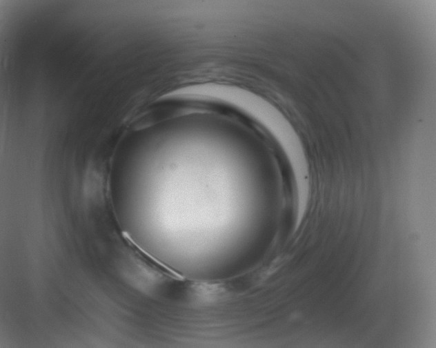 X0000083070333200702091537