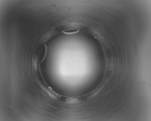 X0000083070334200702091537