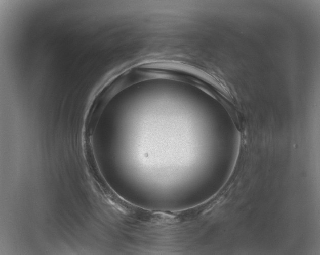 X0000083070340200702091536