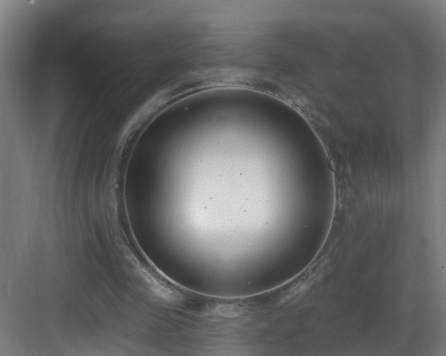 X0000083070341200702091536