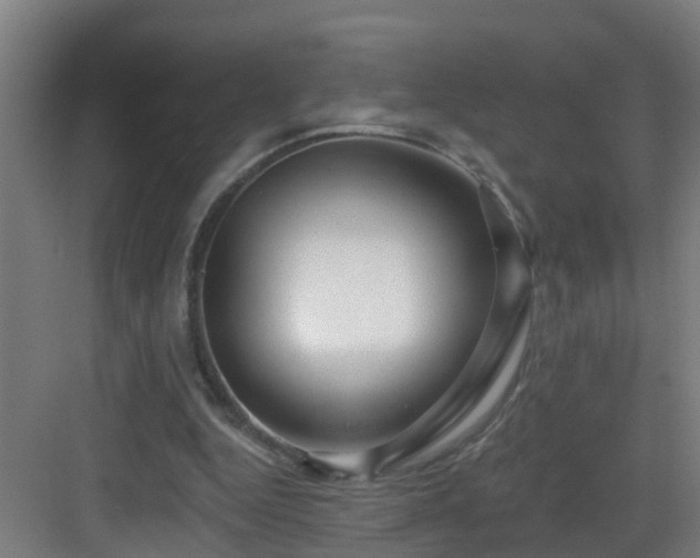 X0000083070344200702091536