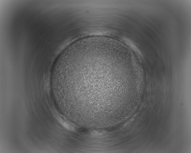 X0000083070346200702091536