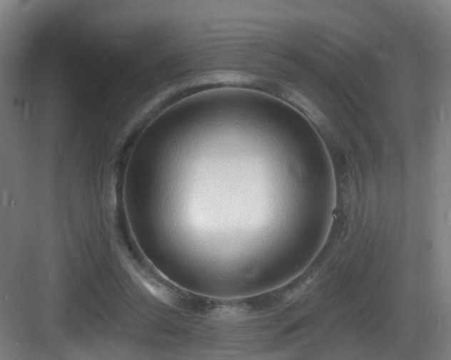 X0000083070350200702091536