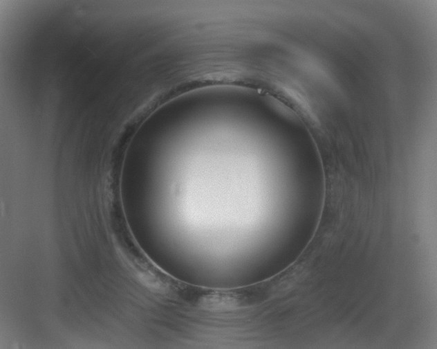 X0000083070354200702091536