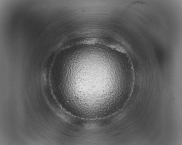 X0000083070358200702091536