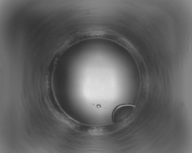 X0000083070362200702091536