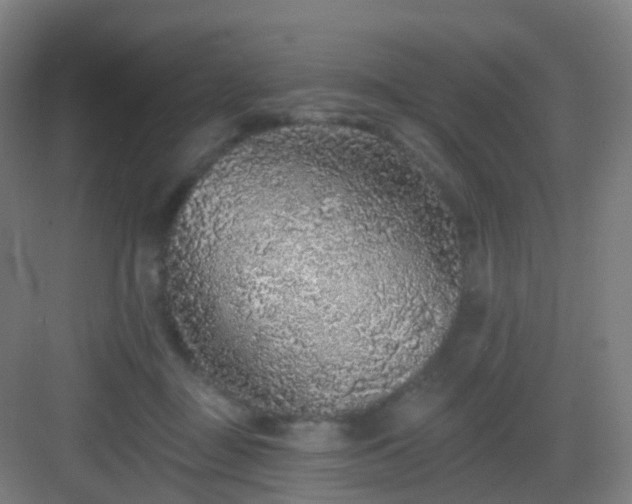 X0000083070363200702091536