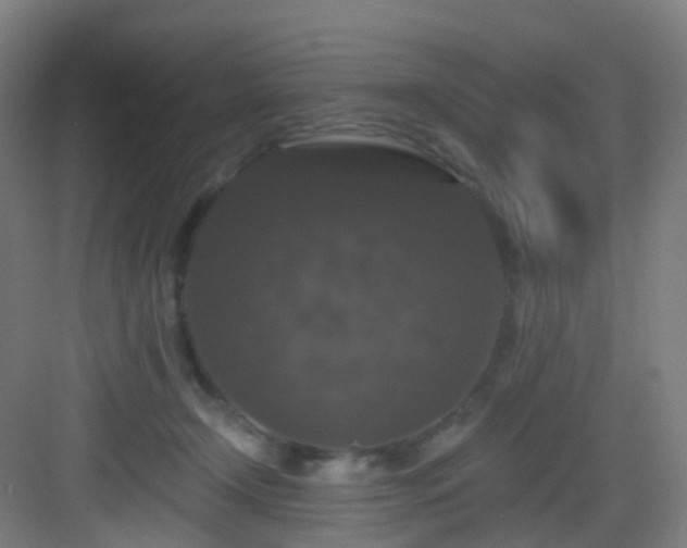 X0000083070366200702091536