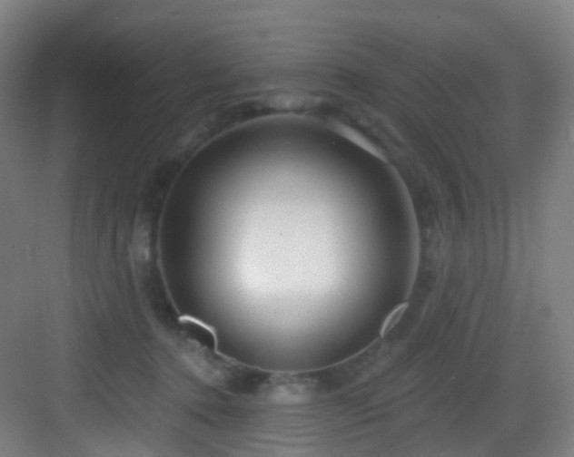 X0000083070368200702091536