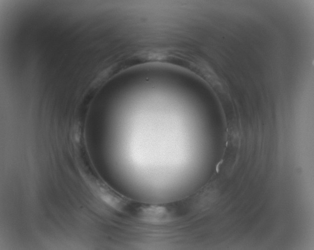 X0000083070374200702091536