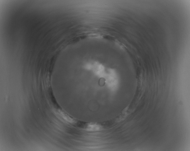 X0000083070376200702091536