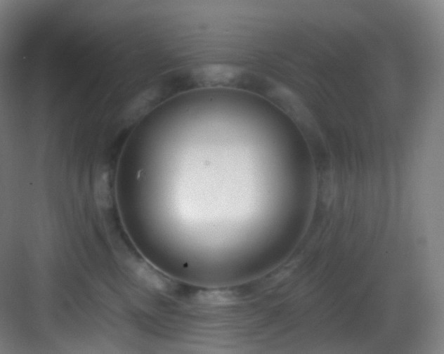 X0000083070378200702091536