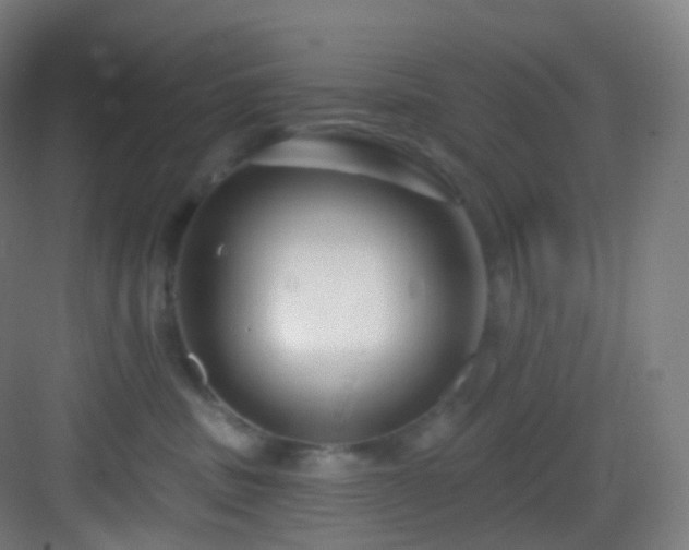 X0000083070379200702091537