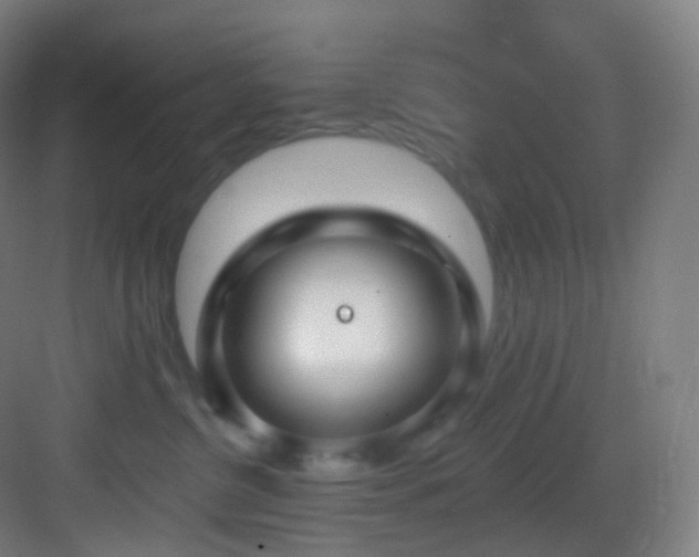 X0000083070380200702091537