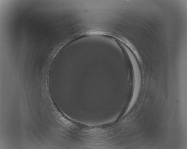 X0000083070385200702091536
