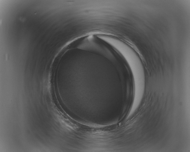 X0000083070387200702091536