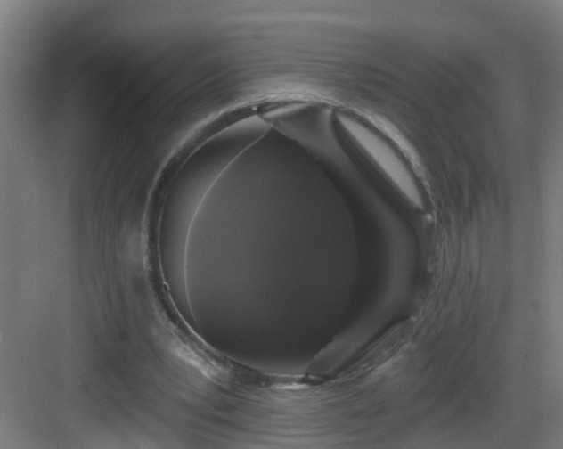 X0000083070391200702091536