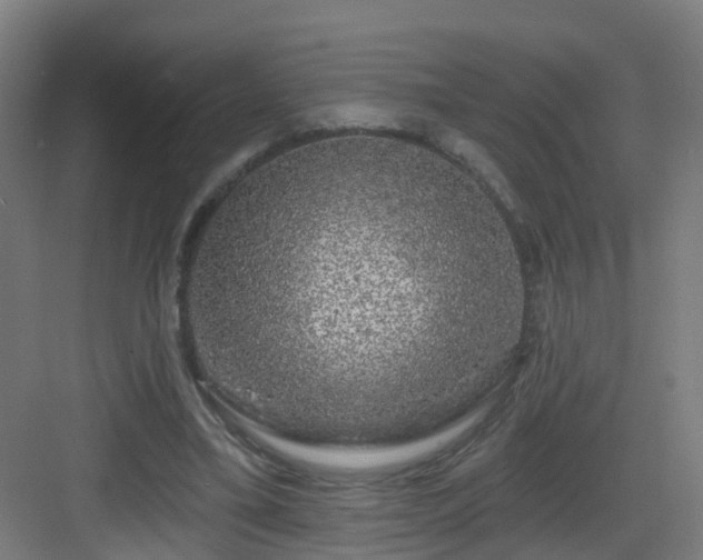 X0000083070395200702091536