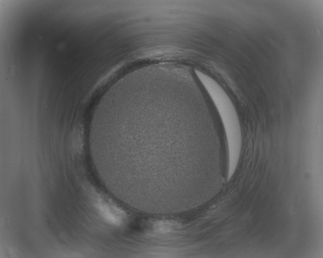 X0000083070400200702091536