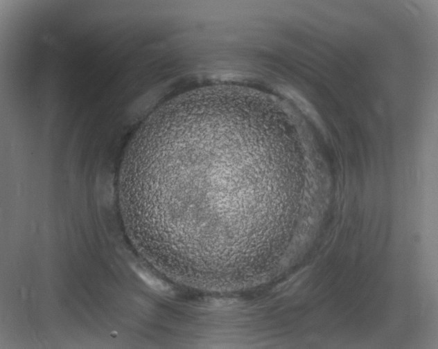 X0000083070401200702091536