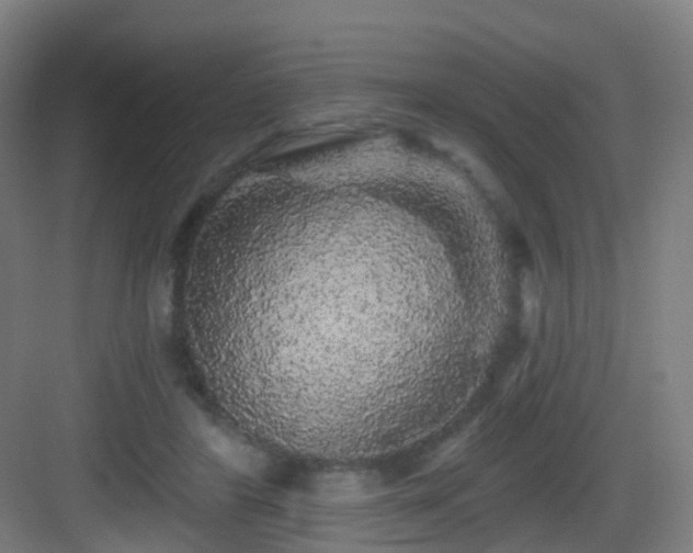 X0000083070404200702091535