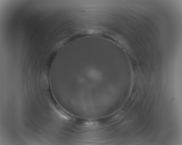 X0000083070415200702091535