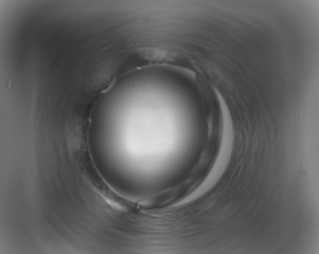 X0000083070416200702091535